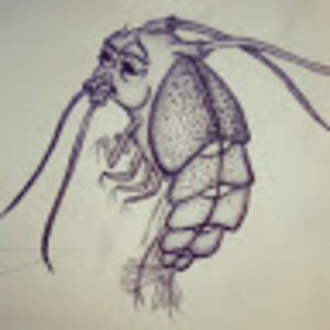 Meet your Posher, Muurr